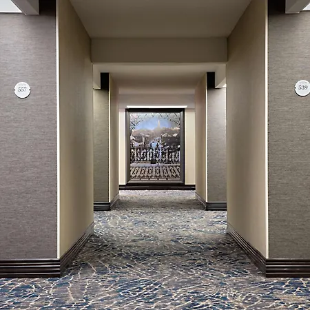 Hilton New Orleans Airport-3